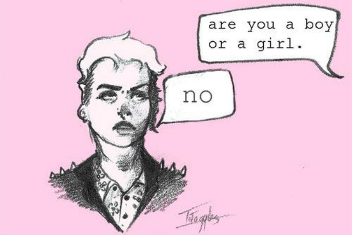 Are you a boy or a girl no