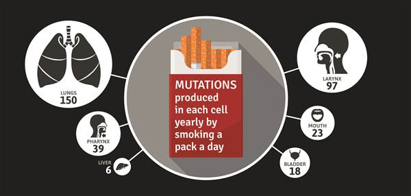Smoking is More Likely to Kill a Person Living with HIV than to Die of an AIDS-Related Illness